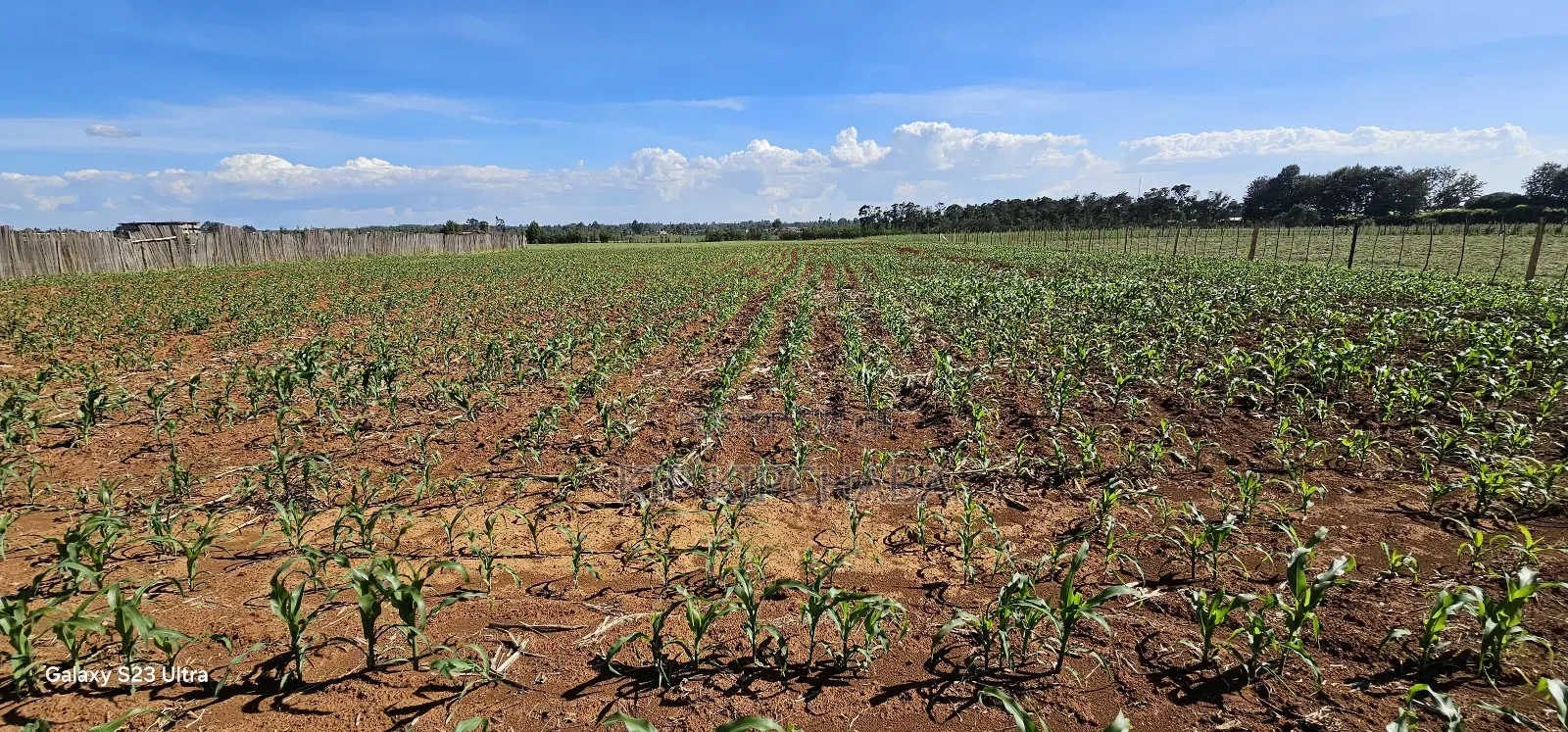 Prime Land For Sale In Moiben Eldoret in Moiben