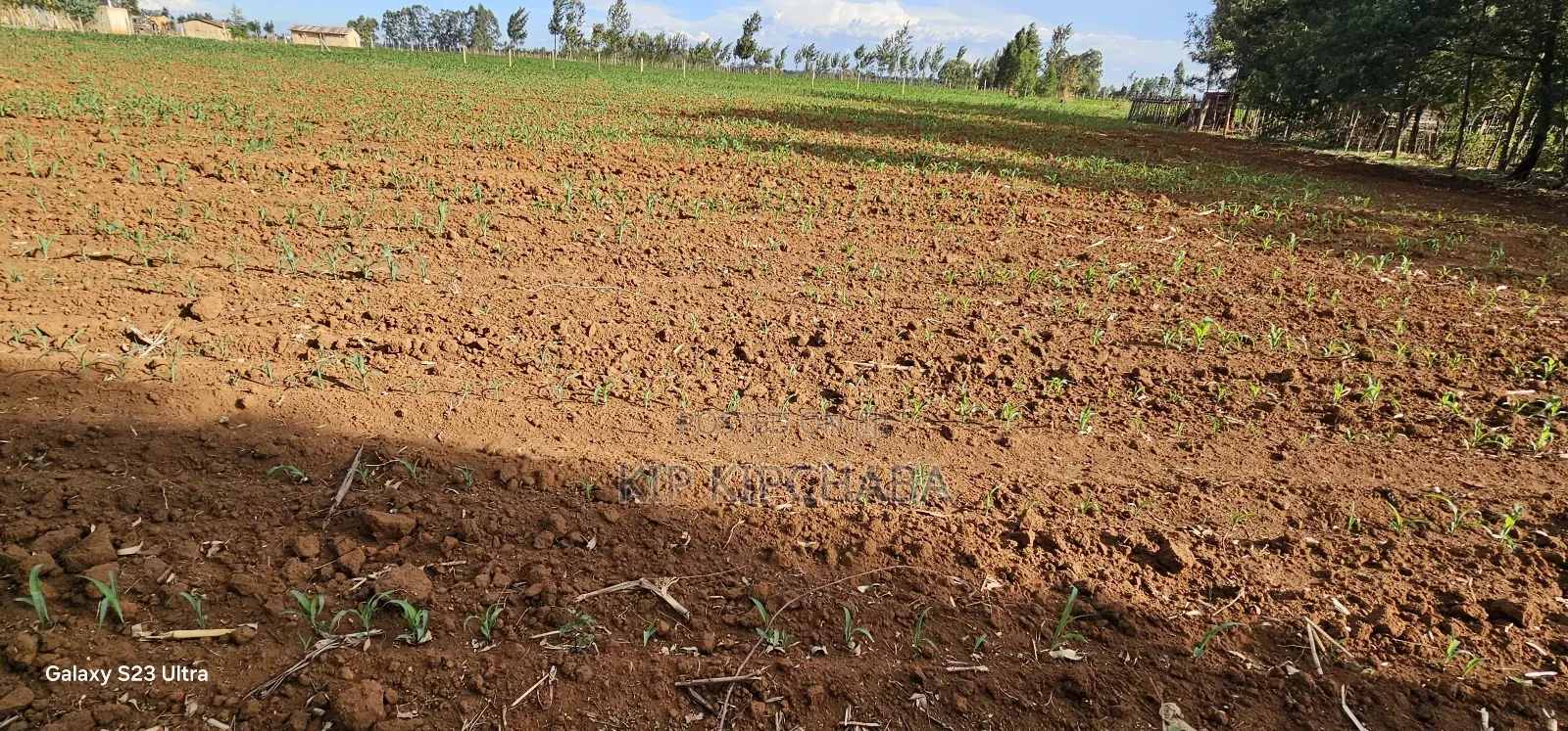 Prime Land For Sale In Moiben Eldoret in Moiben