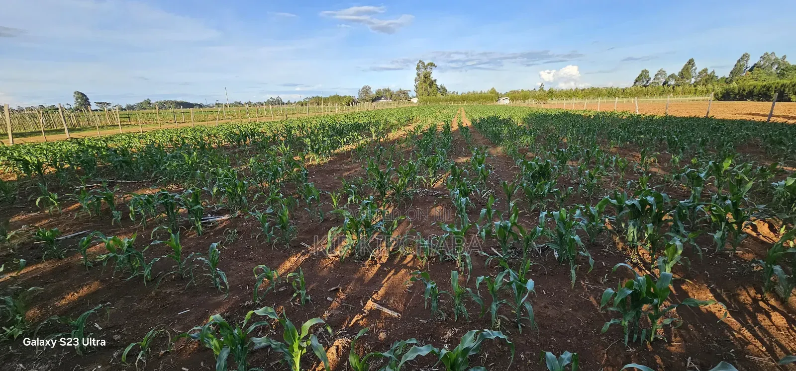 Prime Land For Sale In Moiben Eldoret in Moiben