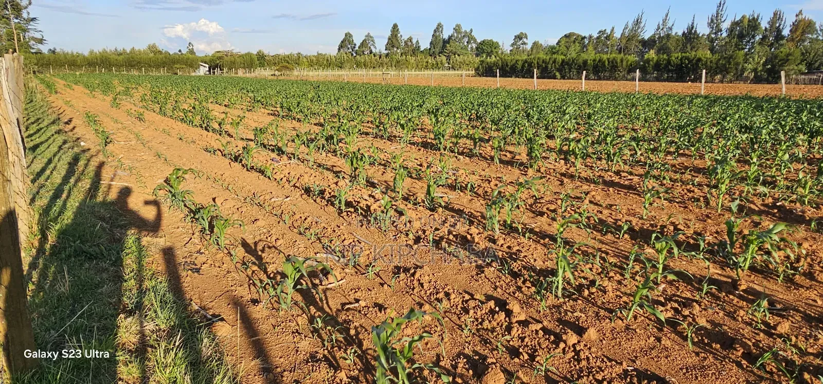 Prime Land For Sale In Moiben Eldoret in Moiben