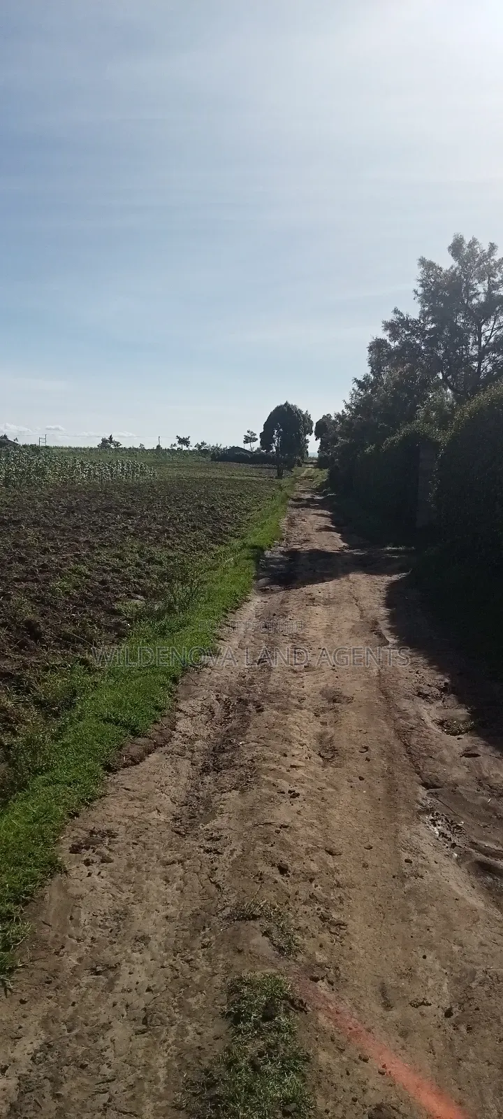 Land on Ihindu Naiva in Naivasha East