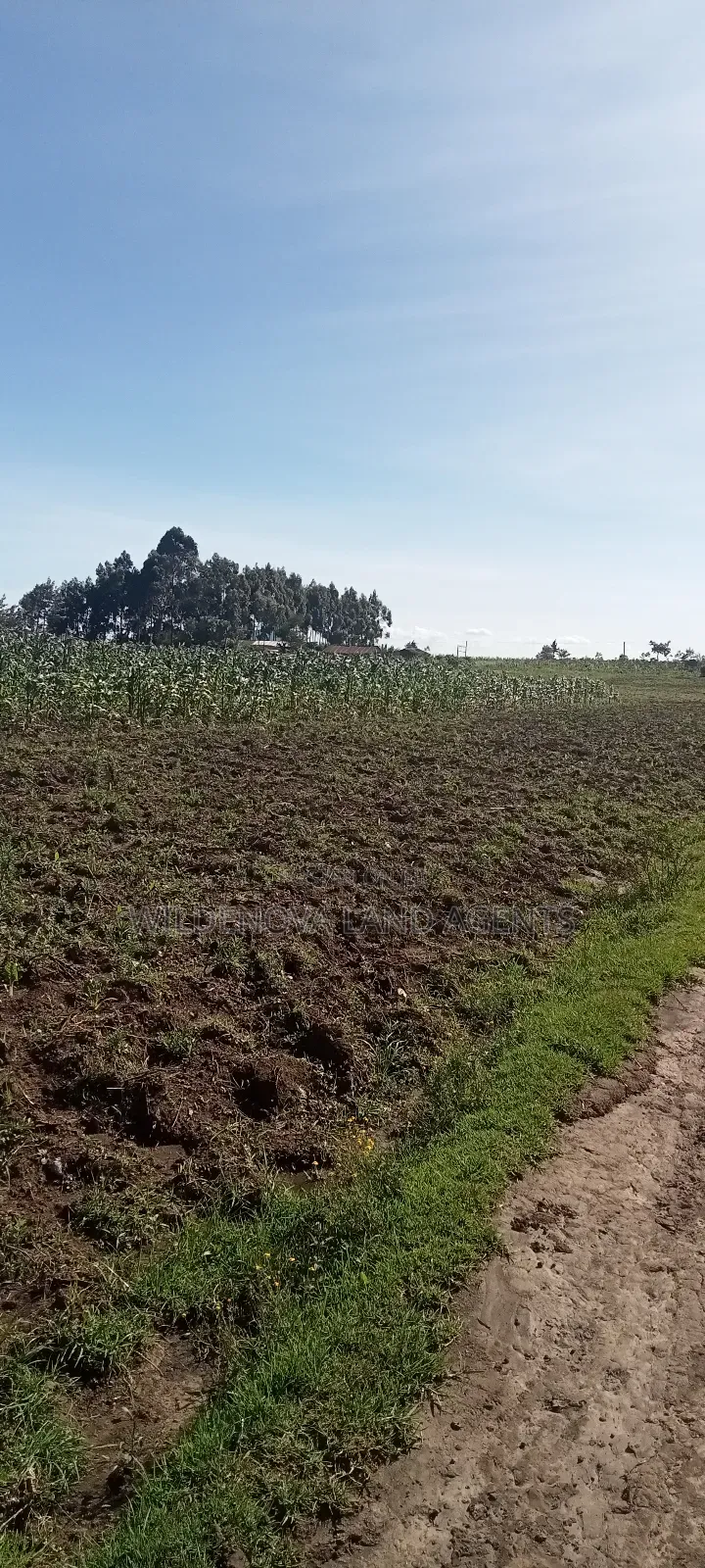 Land on Ihindu Naiva in Naivasha East
