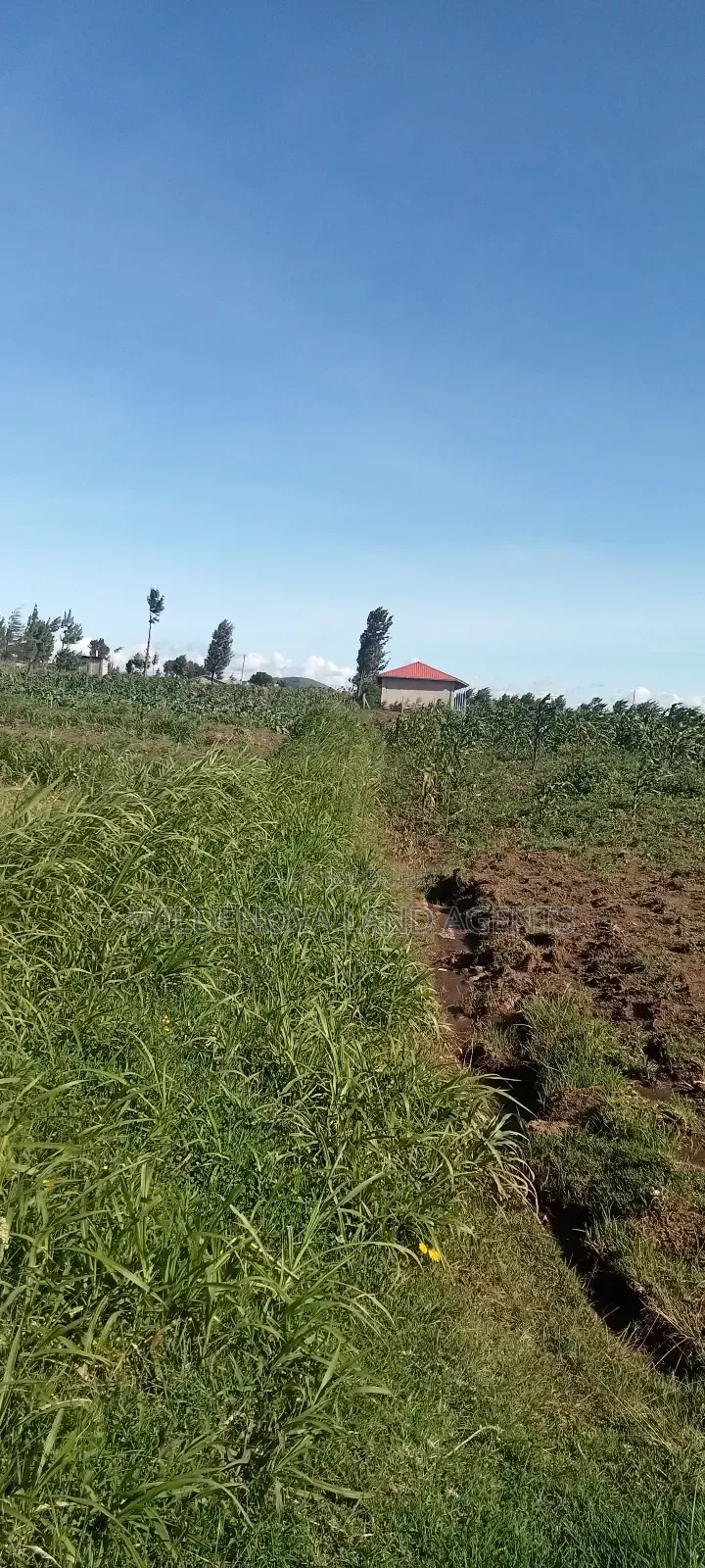Land on Ihindu Naiva in Naivasha East