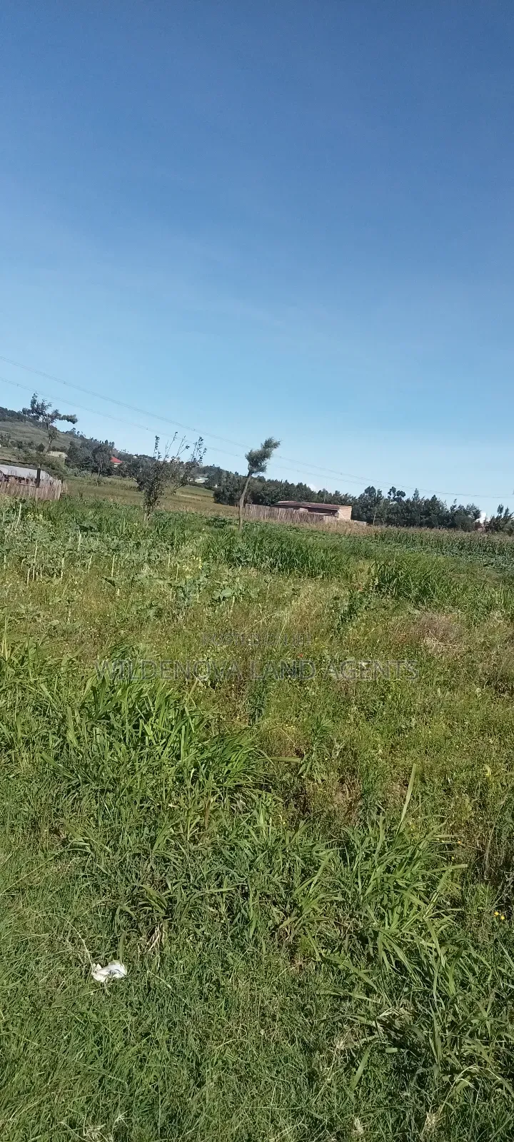 Land on Ihindu Naiva in Naivasha East