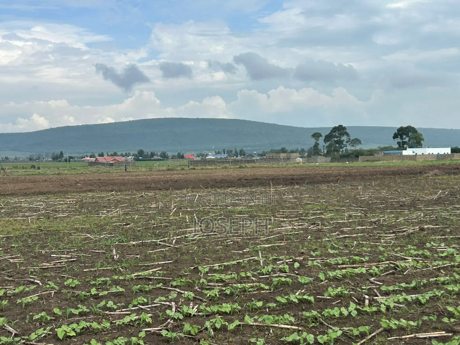 Nakuru Greensteds 1acres Blocks in Barnabas