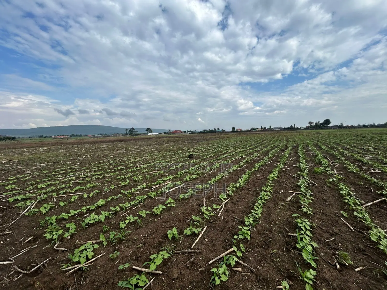 Nakuru Greensteds 1acres Blocks in Barnabas