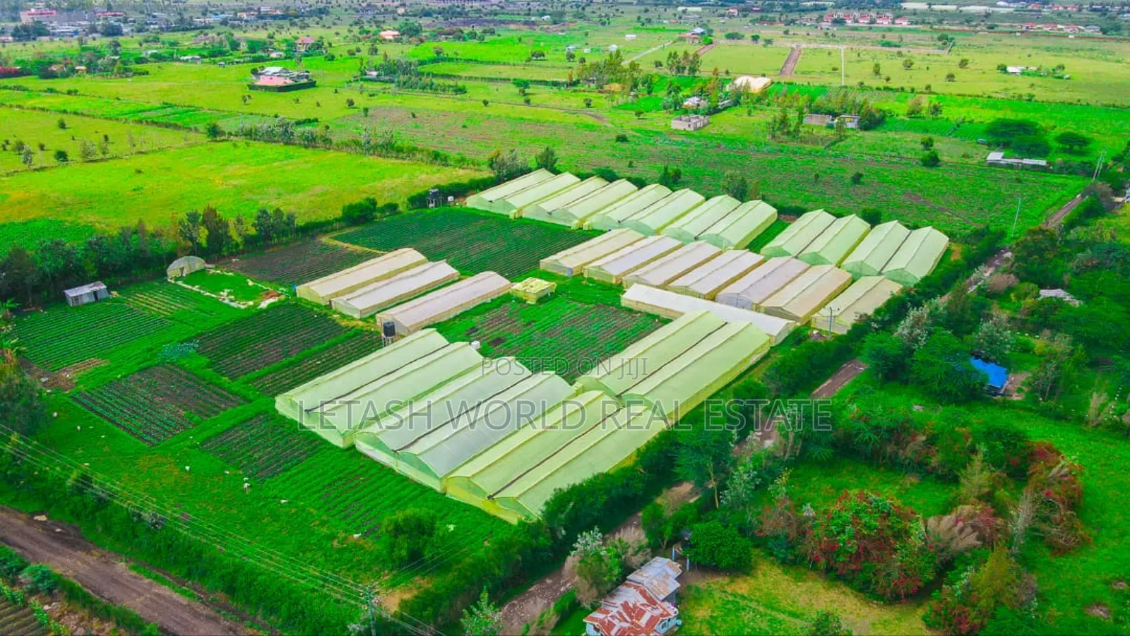 Get Kitengela Plains 2 for a Cash Offer of 1.49 M in Kitengela