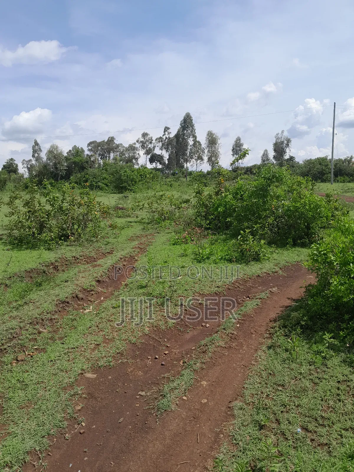 Prime 3 Acres Along Homa Bay-Mbita Highway Near Lala Area in Homa Bay Arujo