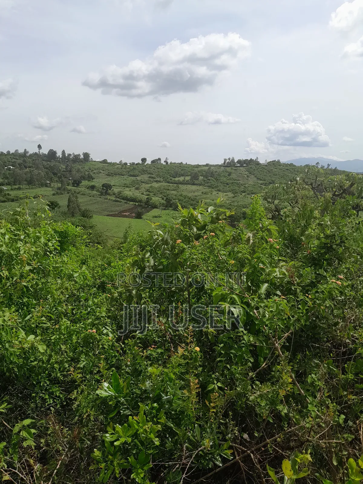 4 Acres of Land in Adongo Area Homa Bay in Homa Bay Arujo
