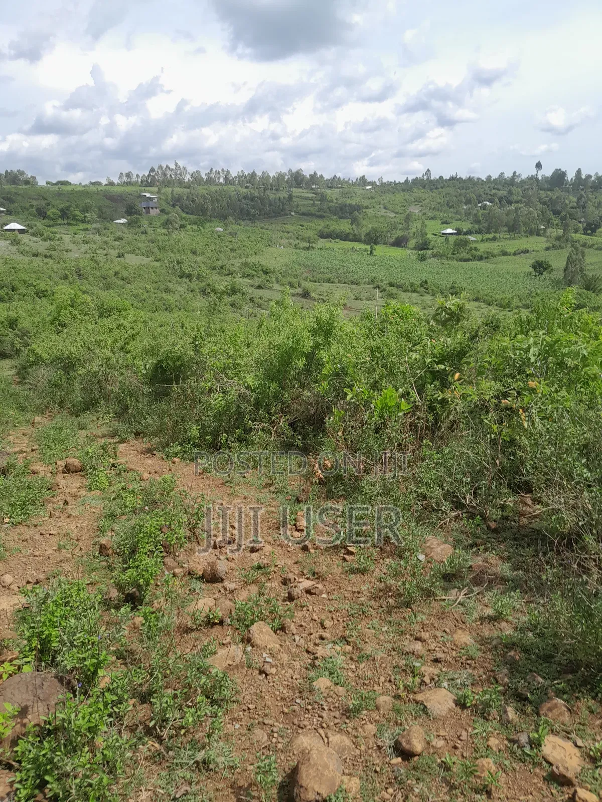 4 Acres of Land in Adongo Area Homa Bay in Homa Bay Arujo