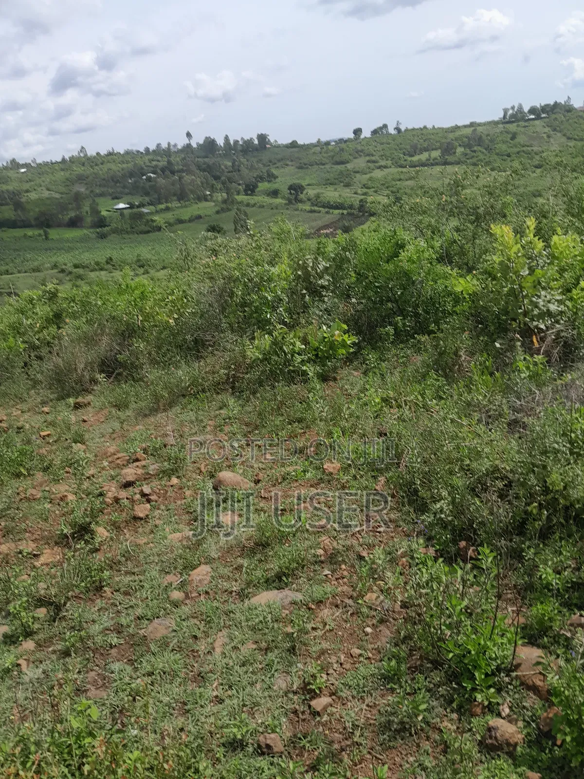 4 Acres of Land in Adongo Area Homa Bay in Homa Bay Arujo