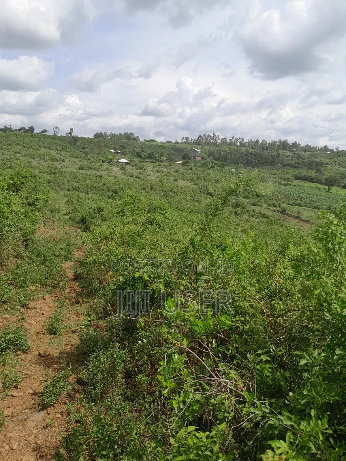 4 Acres of Land in Adongo Area Homa Bay in Homa Bay Arujo