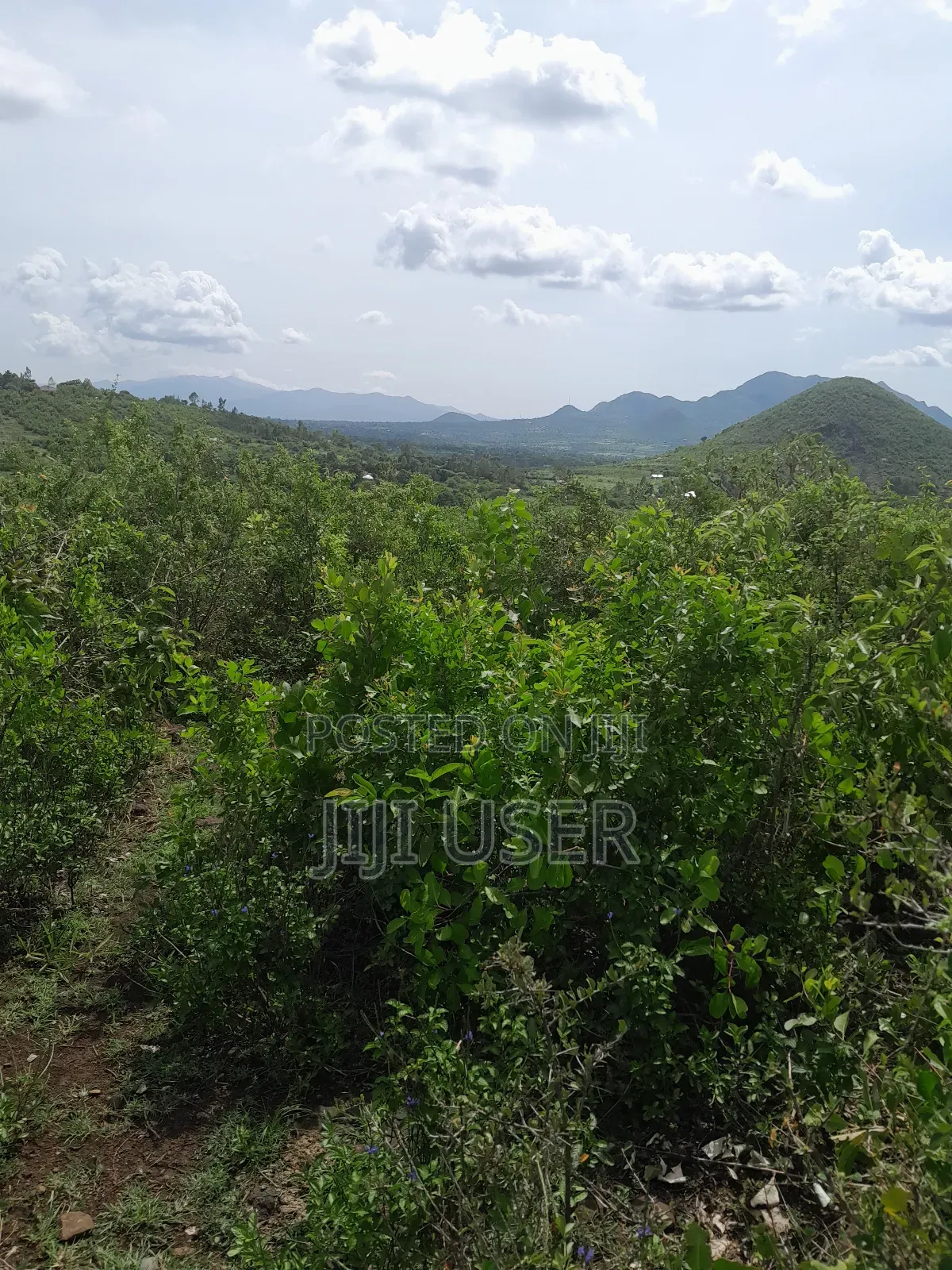 4 Acres of Land in Adongo Area Homa Bay in Homa Bay Arujo
