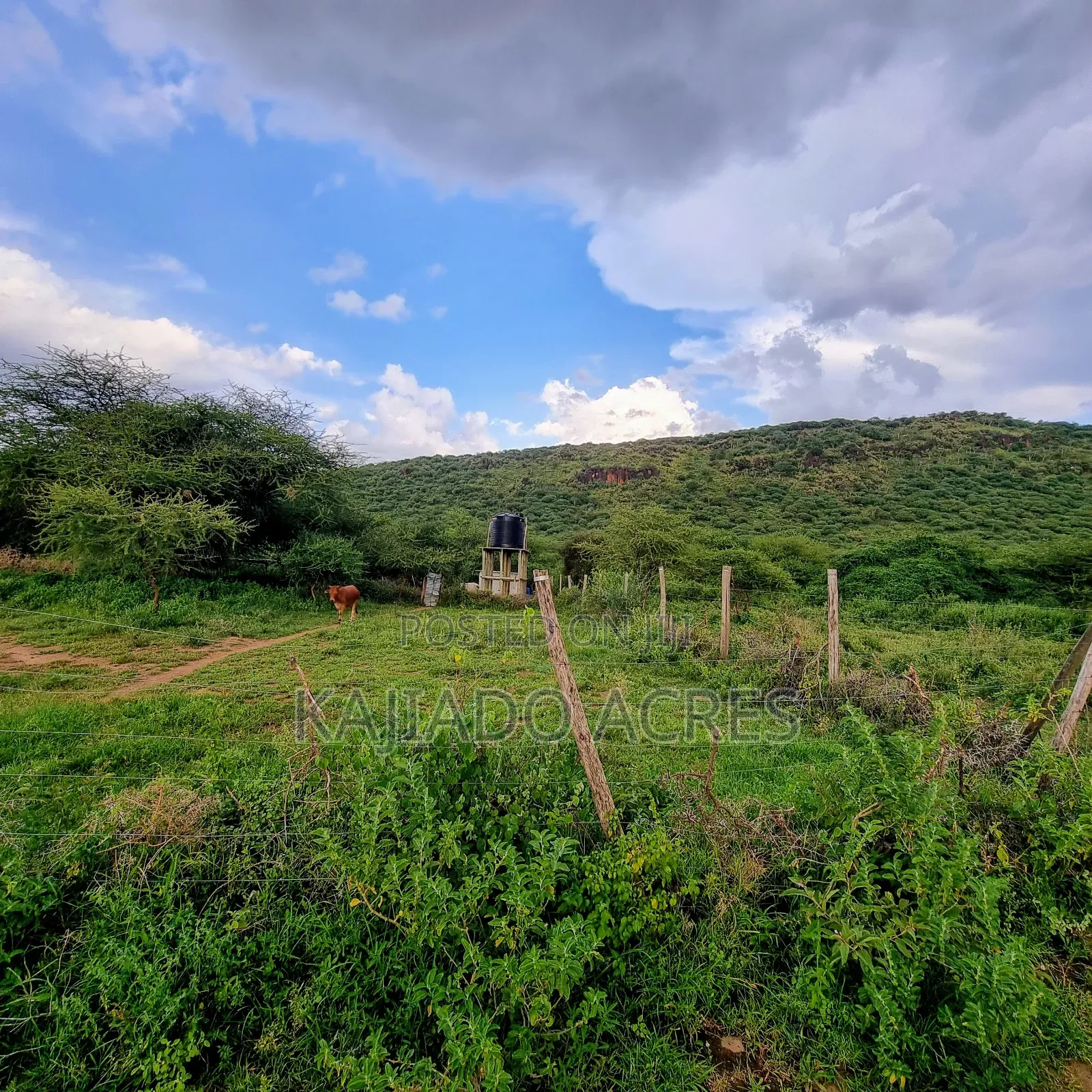 Prime 20 Acres Nendurogo, Saikeri at Per Acre in Ngong