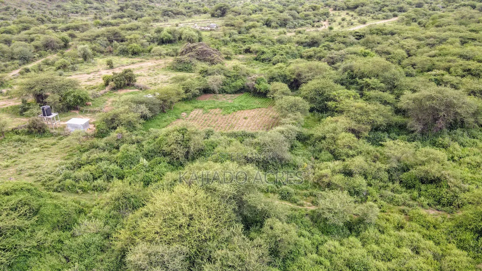 Prime 20 Acres Nendurogo, Saikeri at Per Acre in Ngong