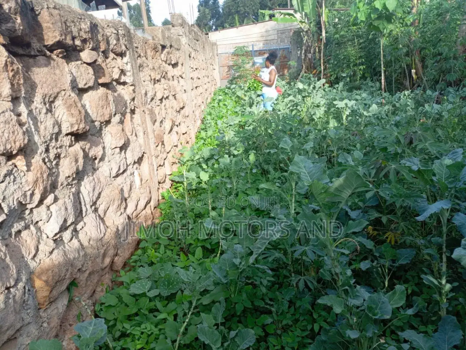 Land on Sale in Westlands