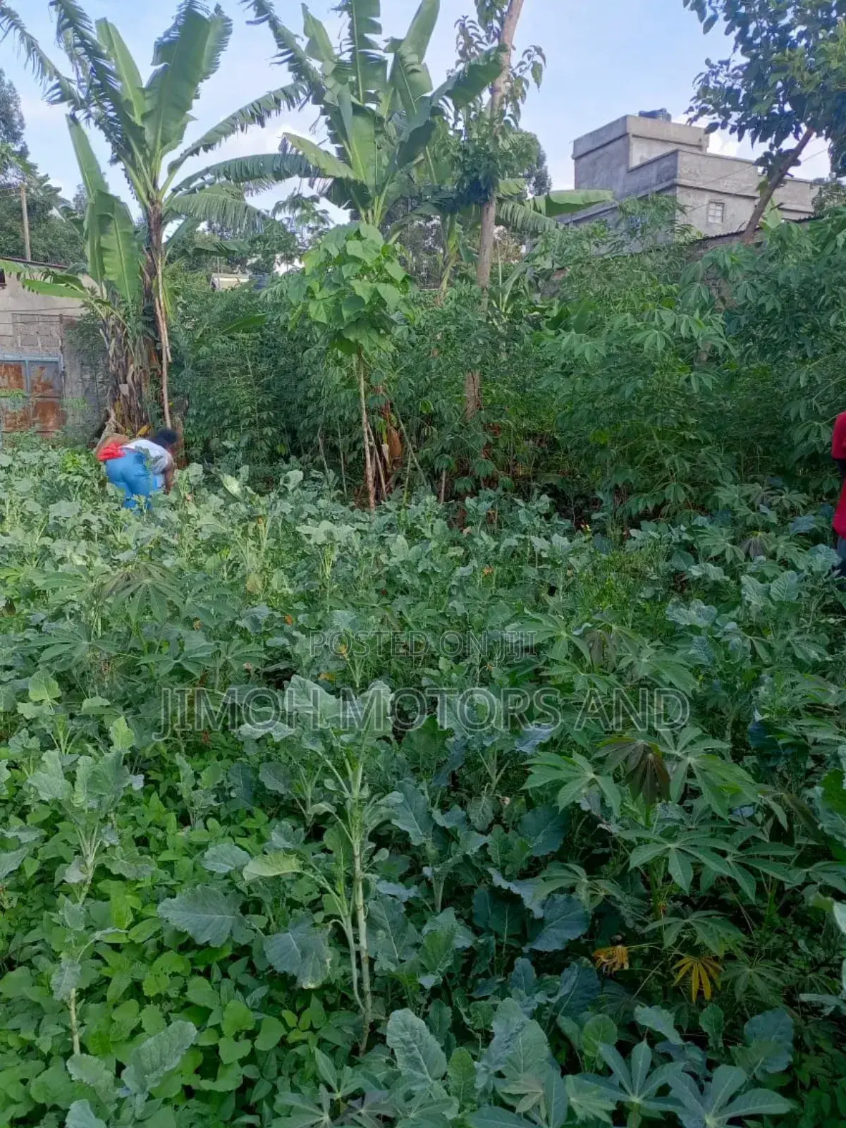 Land on Sale in Westlands