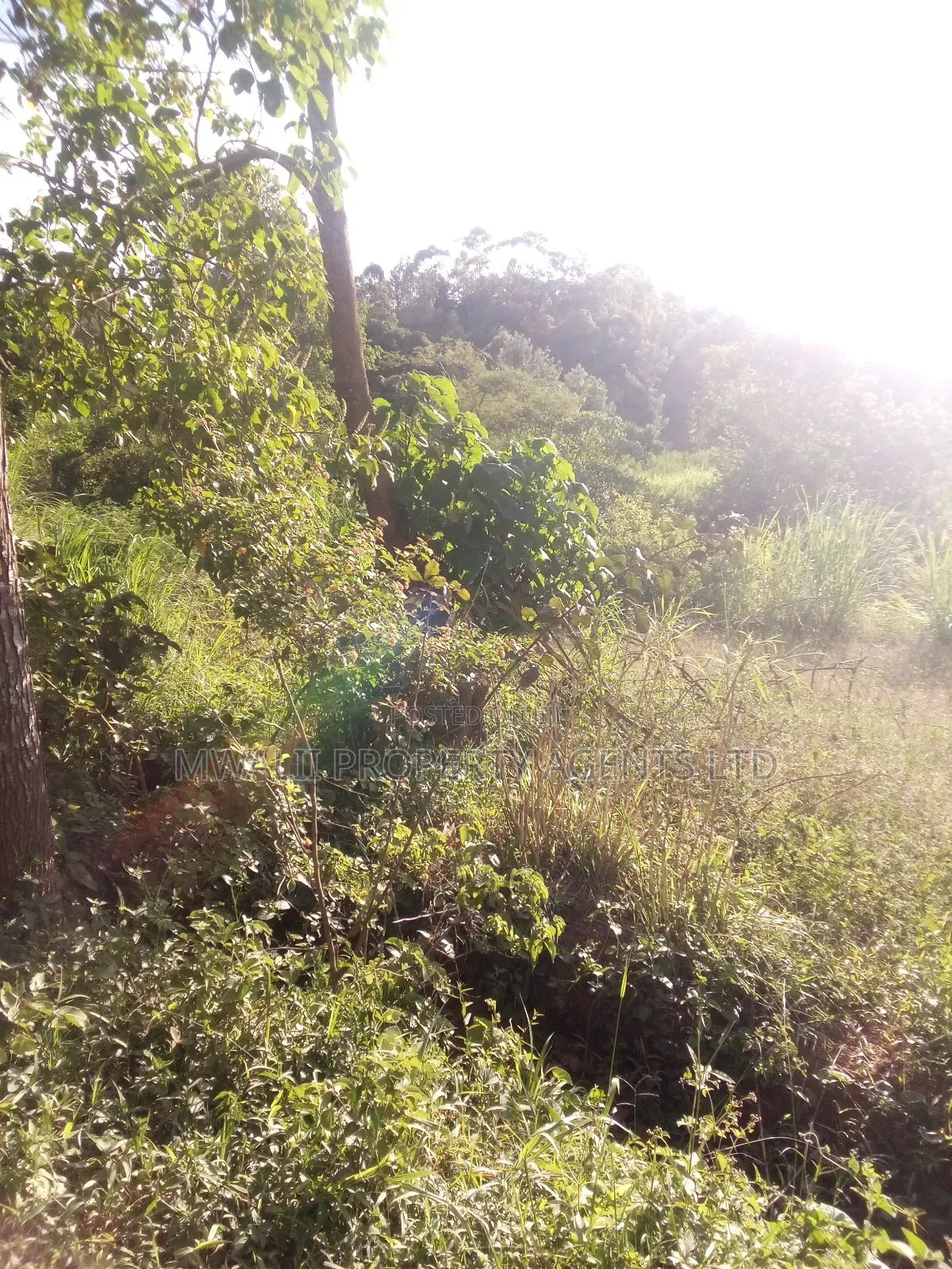 1.5acre ,Mulango, Kitui in Mulango