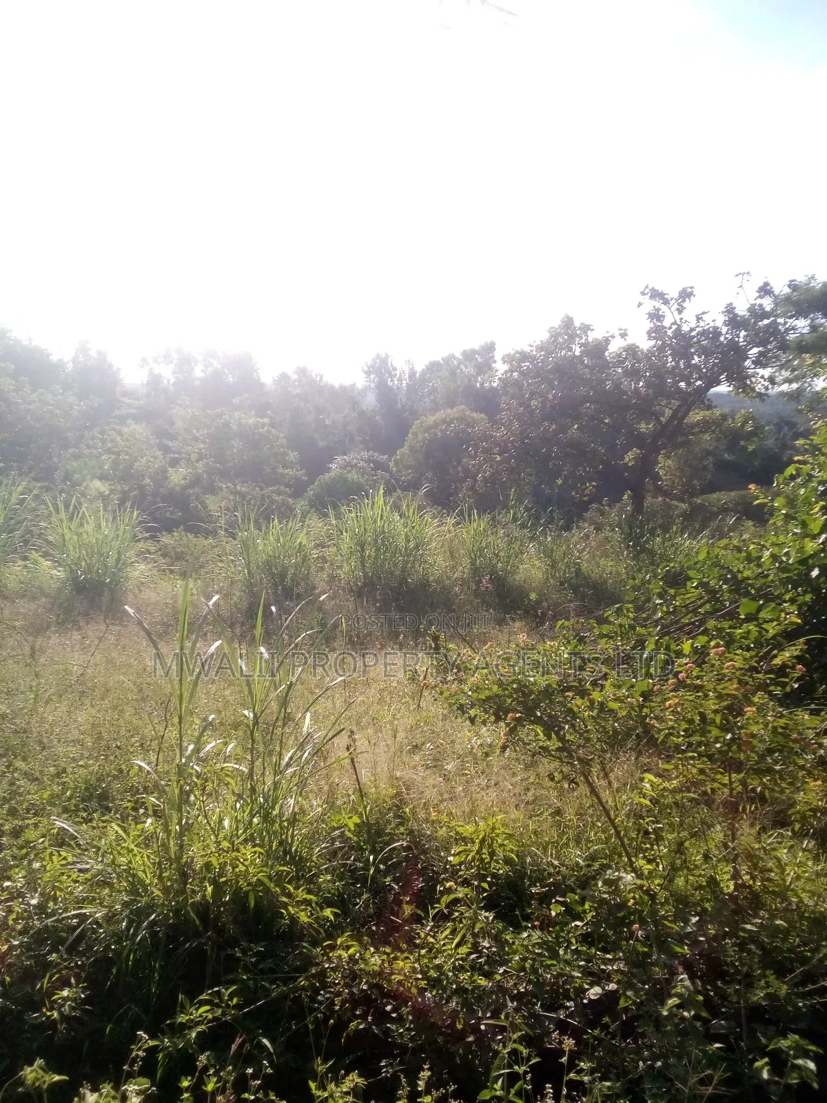 1.5acre ,Mulango, Kitui in Mulango