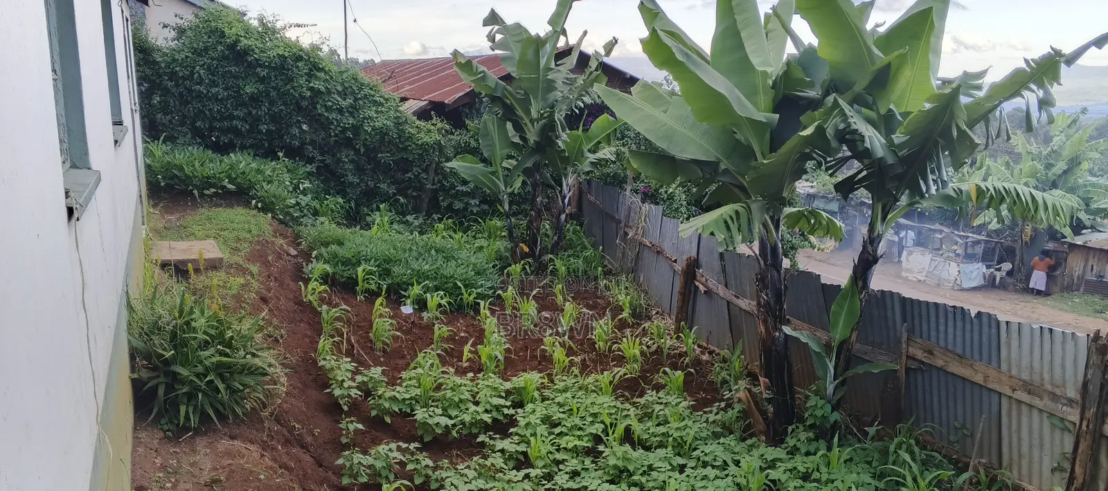 Meru Plot on Sale in Municipality