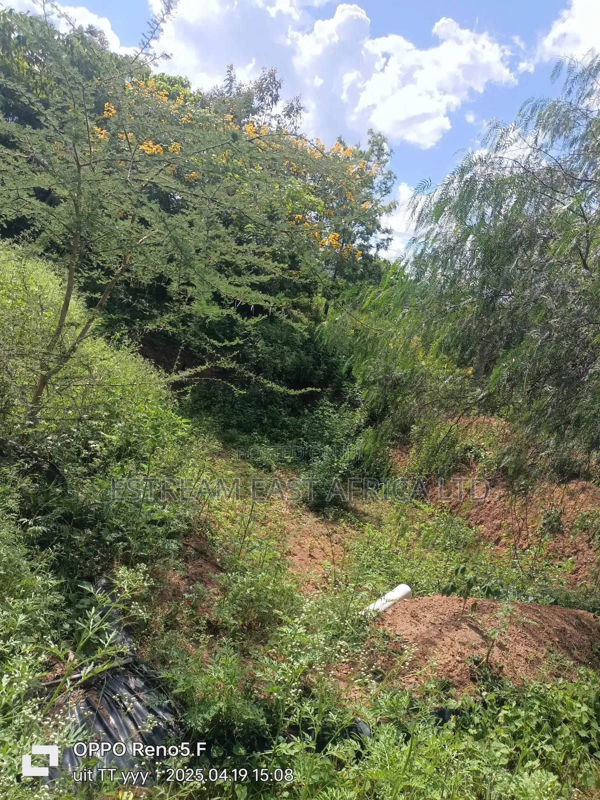 Kangundo, Machakos County: 10 Acres of Land for Sale in Mbiuni
