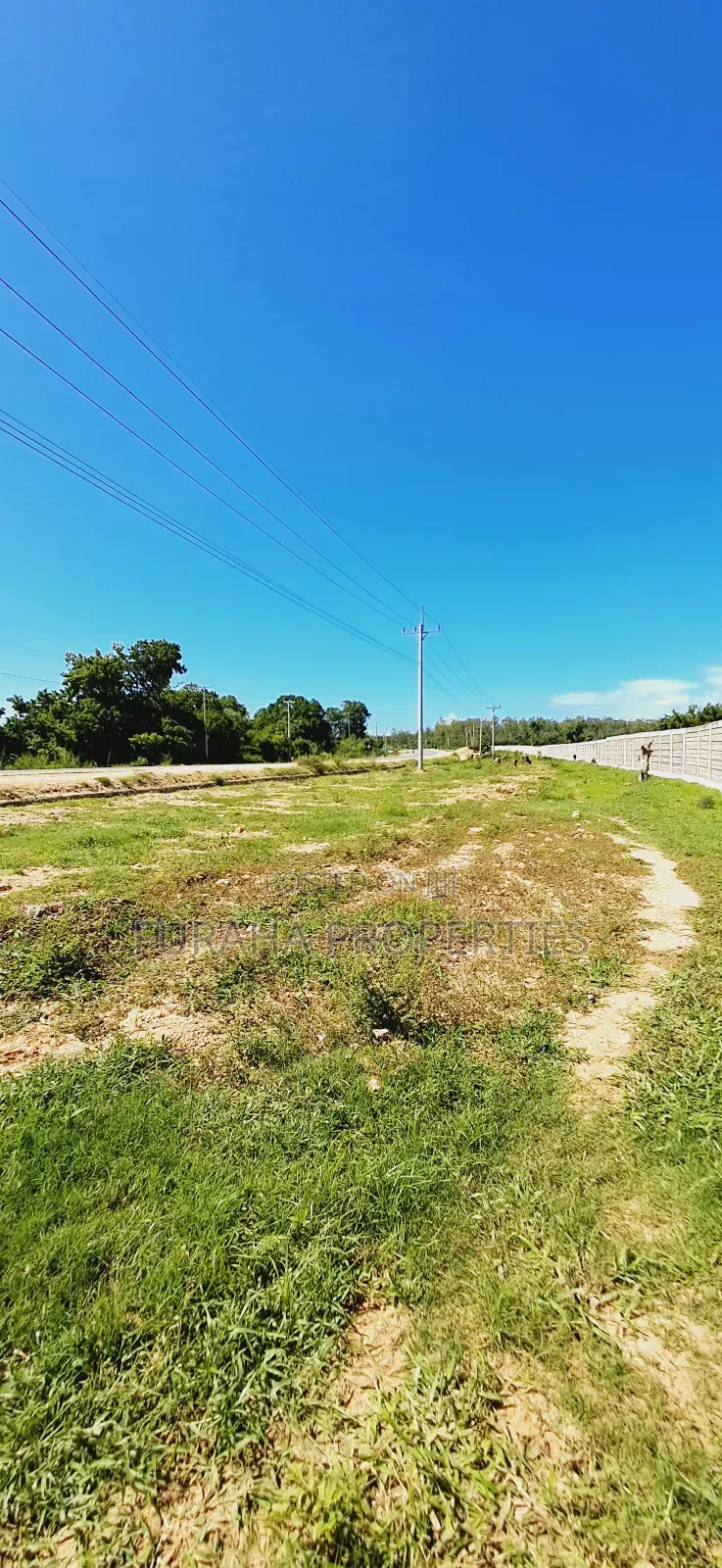 For Sale 80 Acres Land Vipingo in Nyali