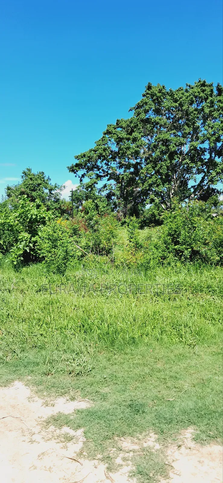 For Sale 80 Acres Land Vipingo in Nyali