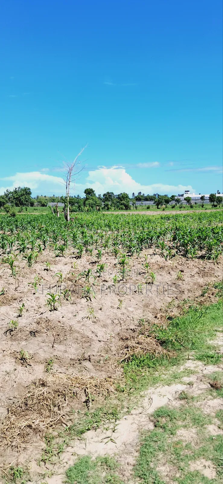 For Sale 80 Acres Land Vipingo in Nyali