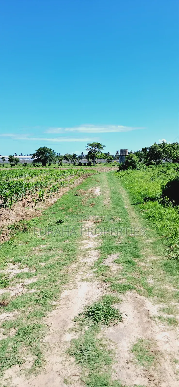 For Sale 80 Acres Land Vipingo in Nyali