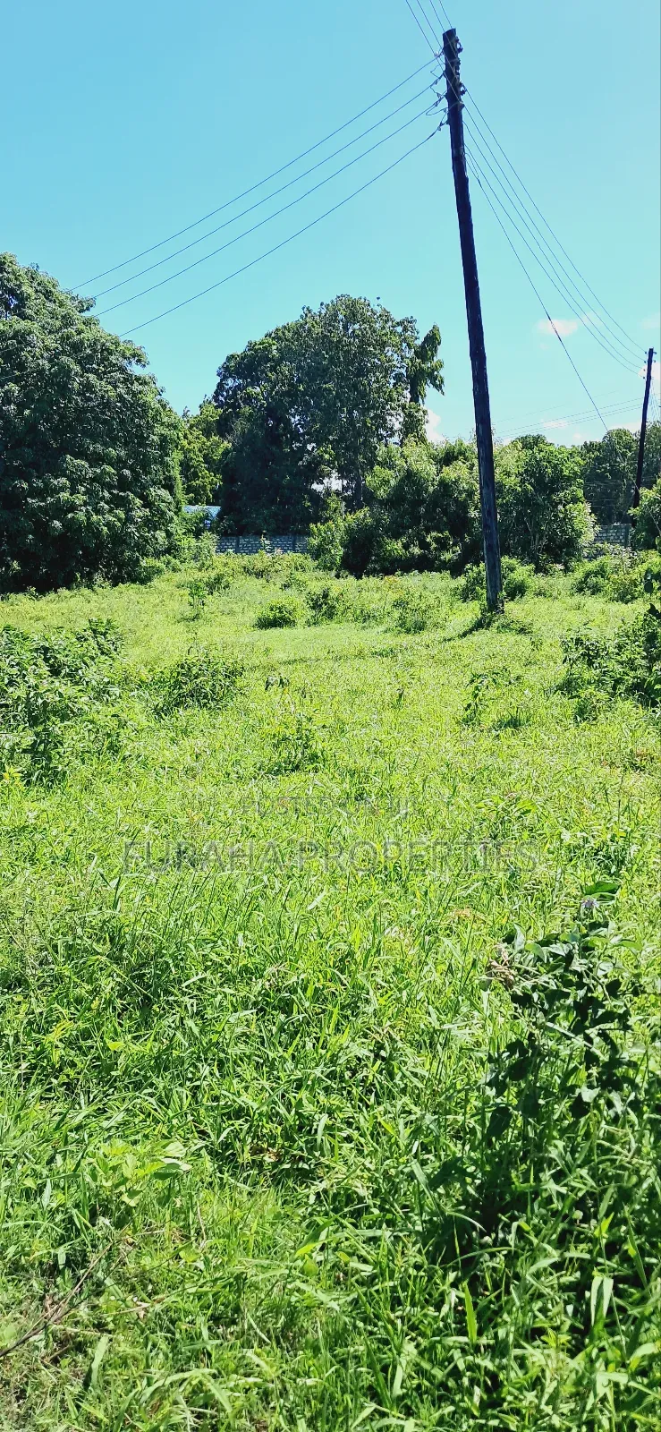 For Sale 80 Acres Land Vipingo in Nyali