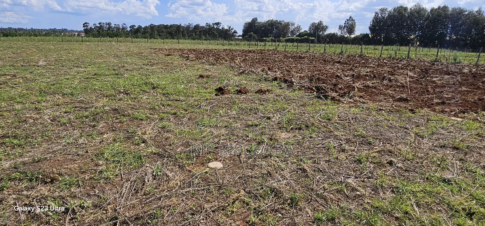 Prime 1⁄4 Plots for Sale in Marura Kimumu in Eldoret in Moiben