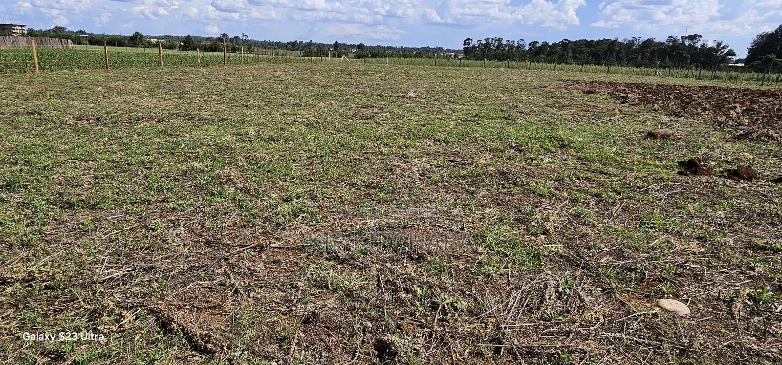 Prime 1⁄4 Plots for Sale in Marura Kimumu in Eldoret in Moiben