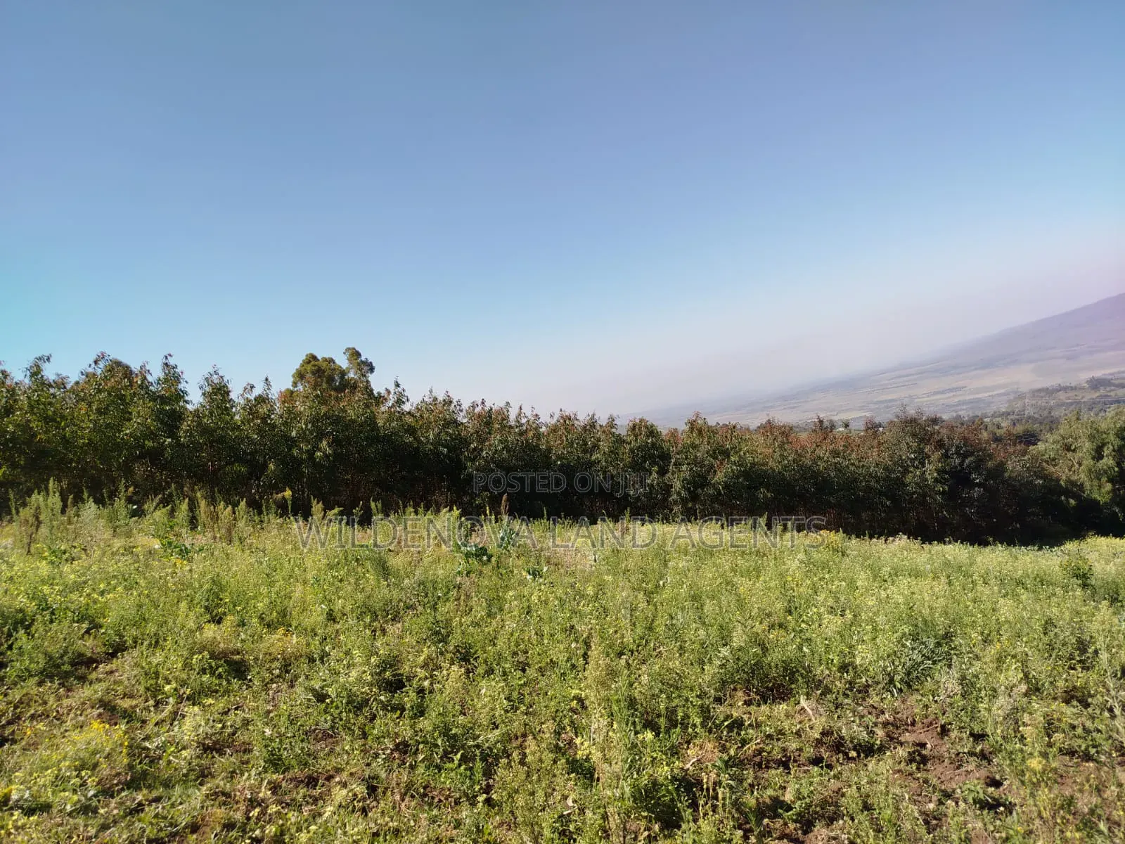 Land on Sale at Flyover Viewpoint Naivasha in Naivasha East