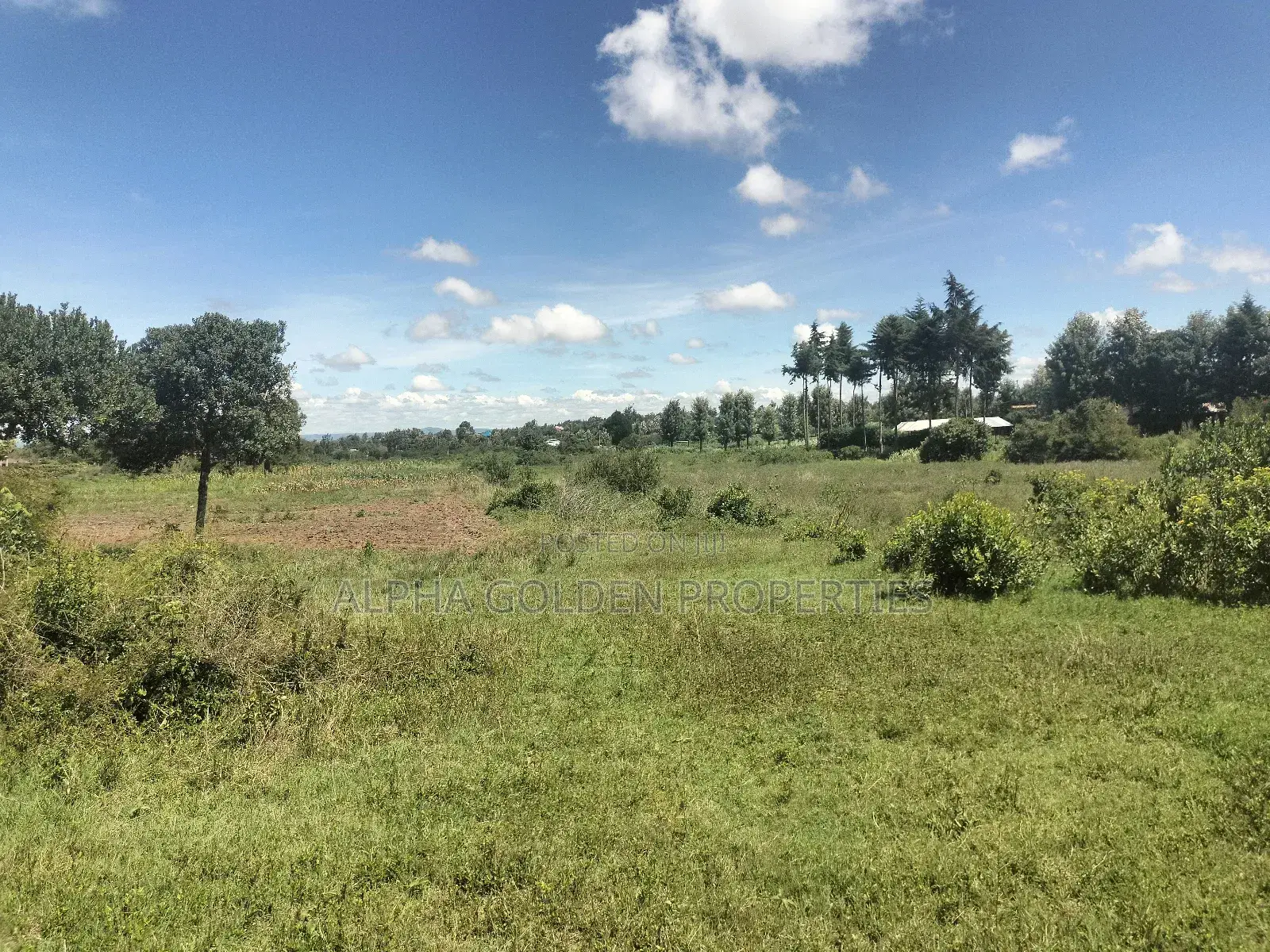 2 Acres on Highway [ Narumoru ] in Gakawa