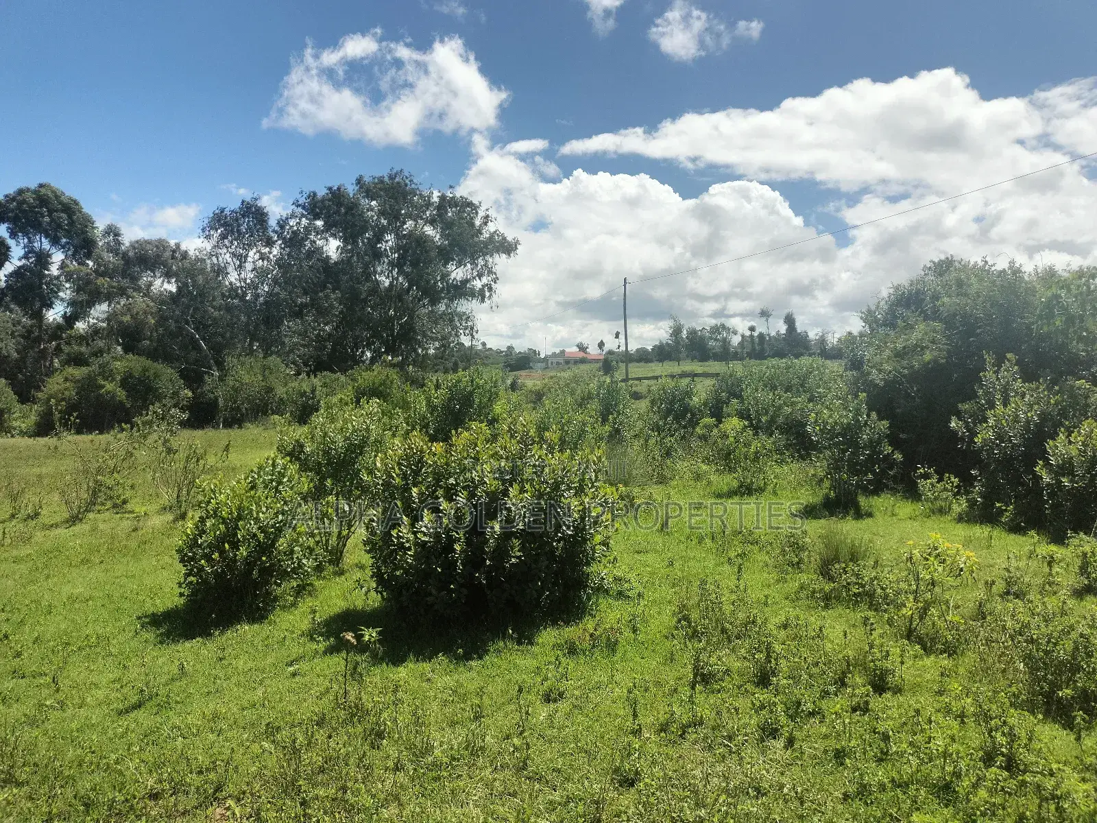 2 Acres on Highway [ Narumoru ] in Gakawa