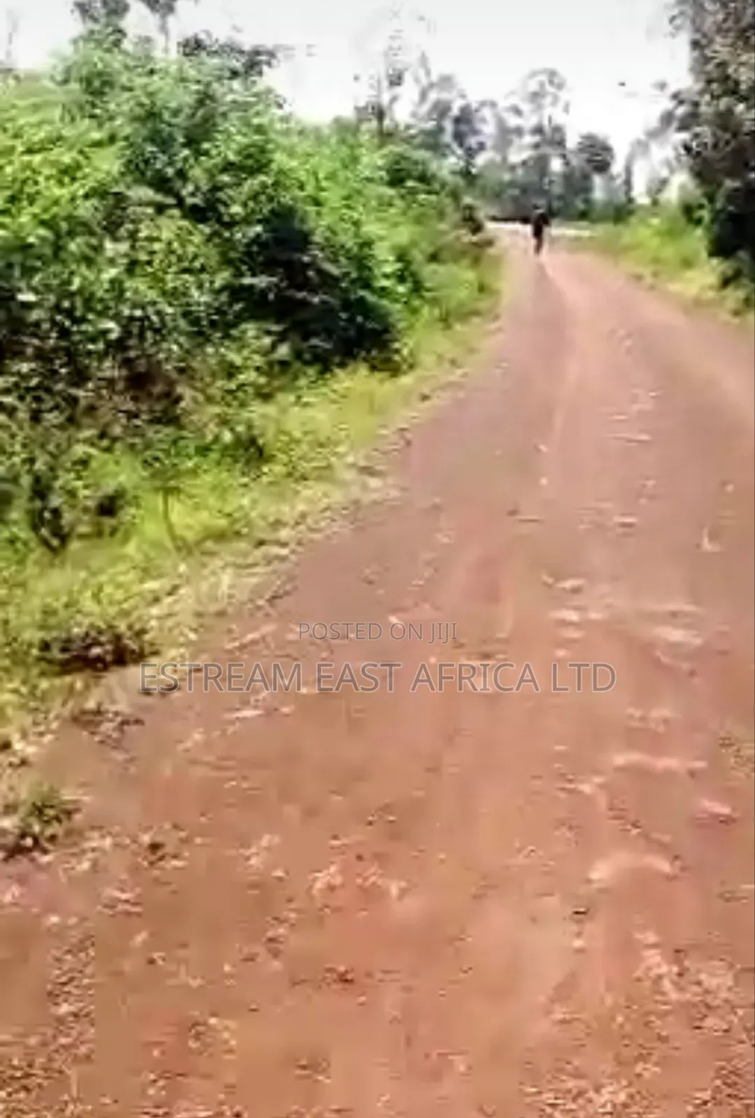 5 Acres Land for Sale at Gem Sirembe in Siaya County. in Central Gem
