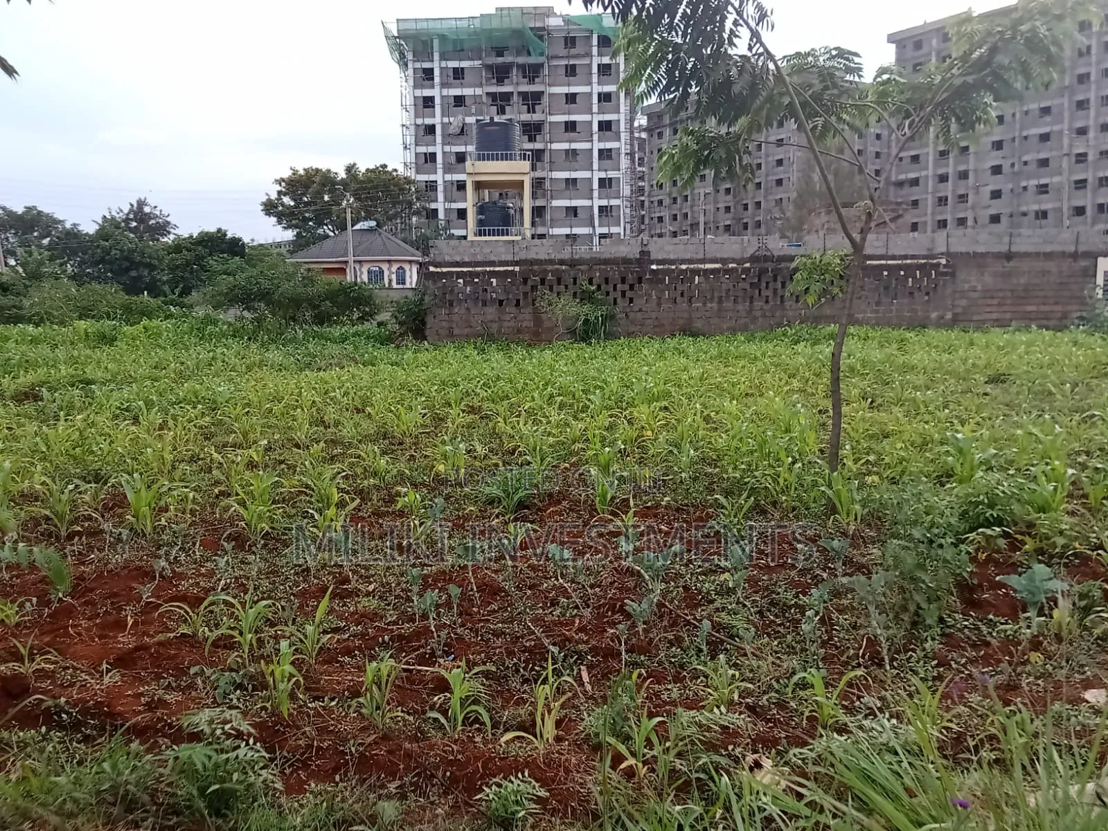 Commercial Plot on Sale at Ruiru in Ruiru
