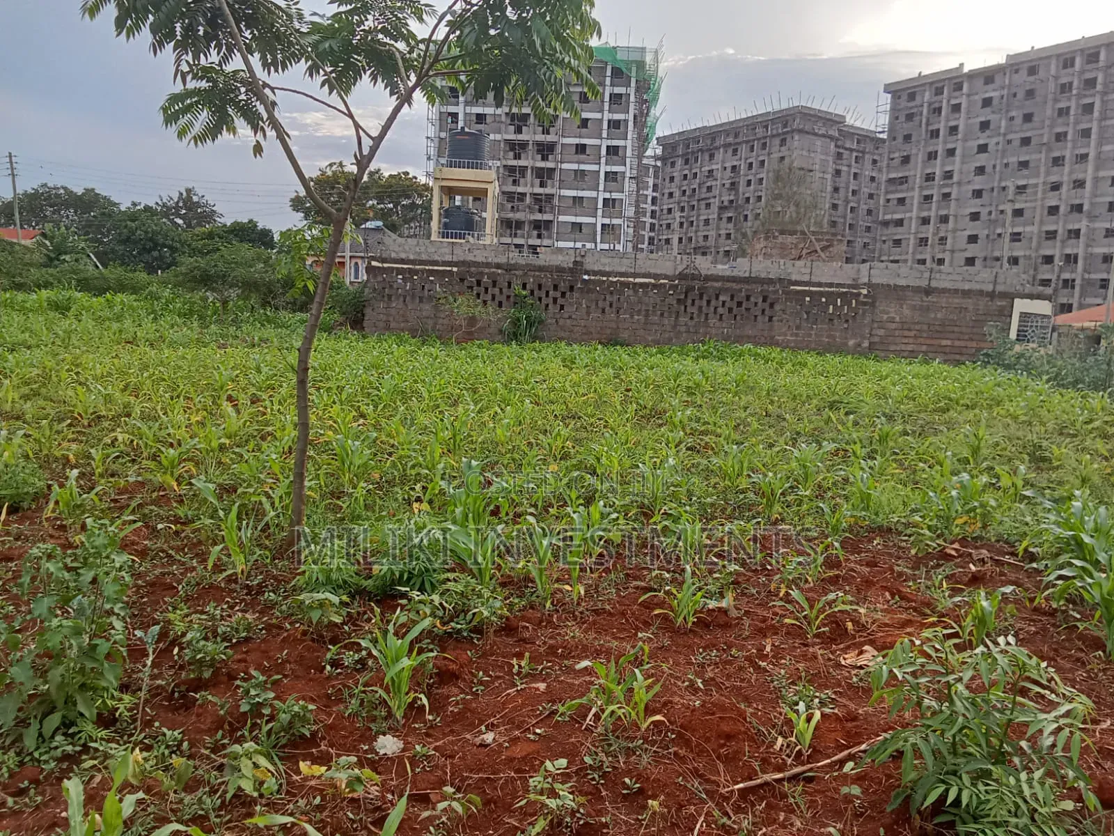 Commercial Plot on Sale at Ruiru in Ruiru