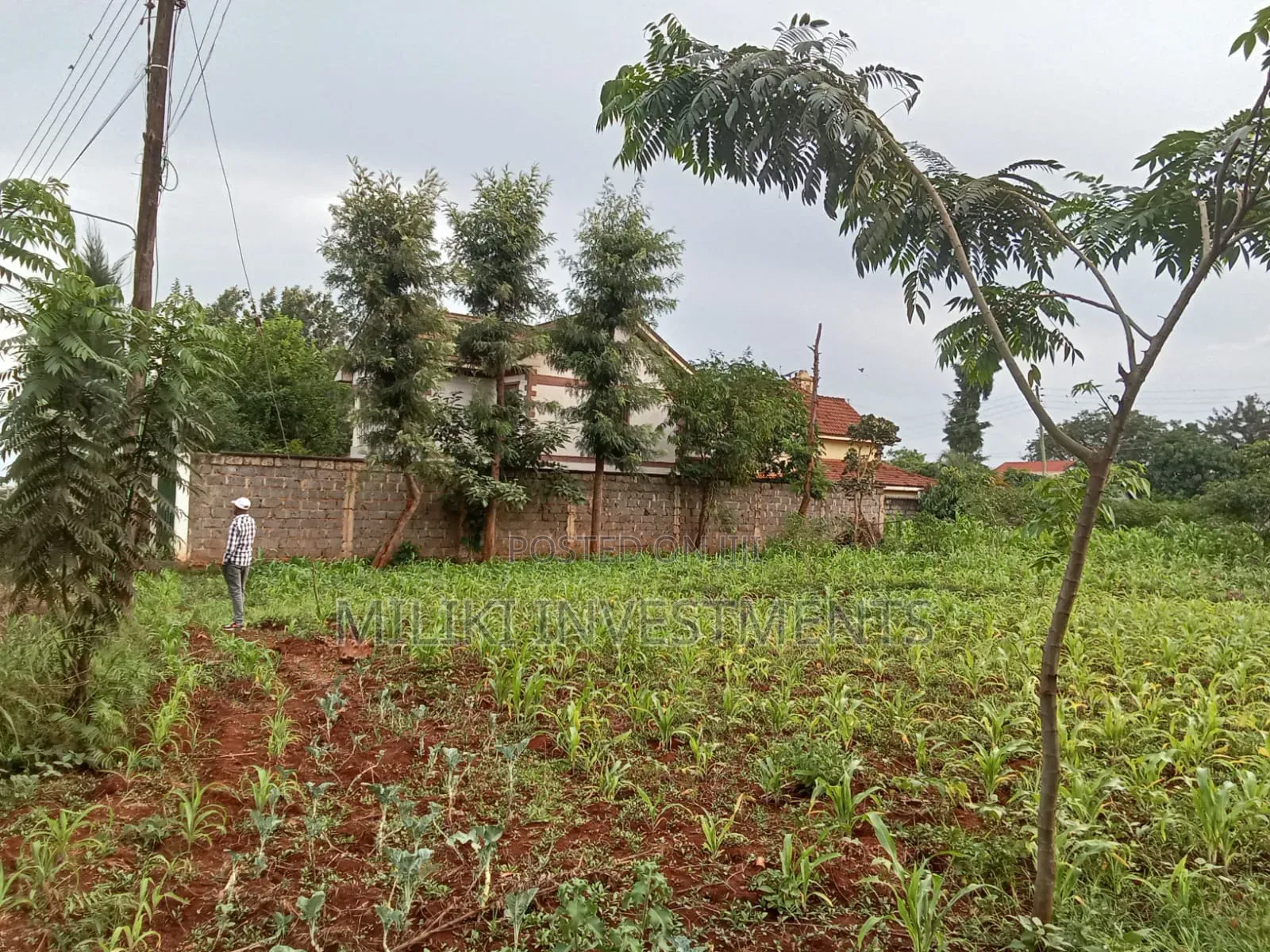 Commercial Plot on Sale at Ruiru in Ruiru