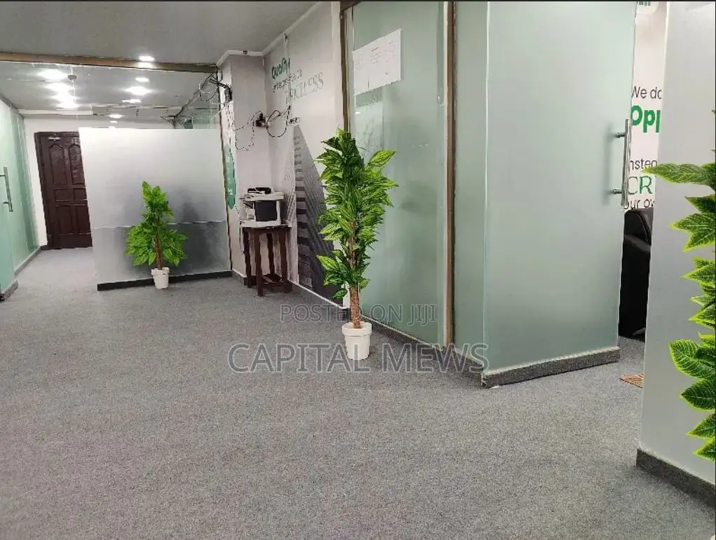 Green and Gentle Offices for Workers in State House Area
