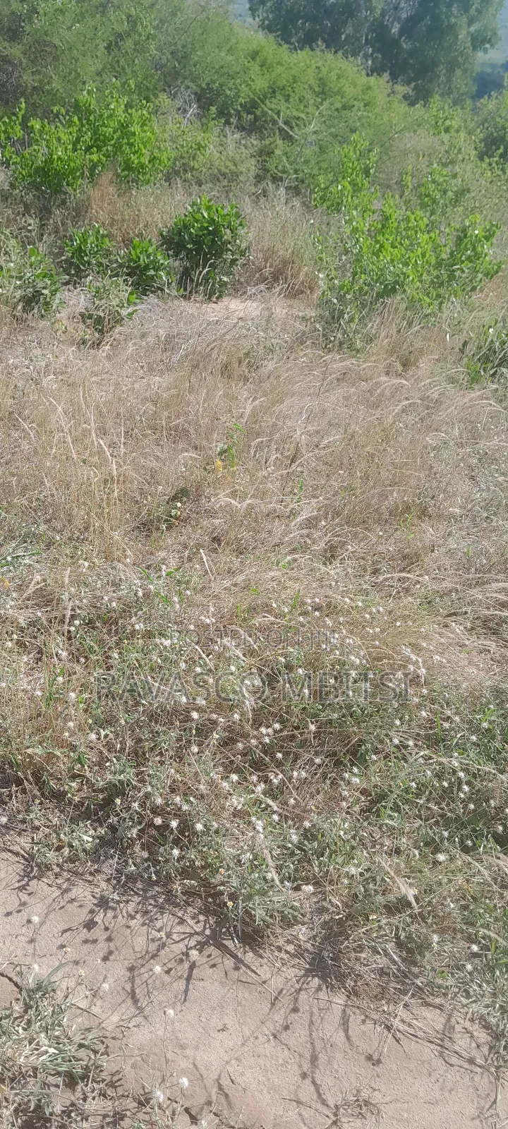 160 Acres Forsale in Matolani Baricho Good for Agricultural. in Malindi