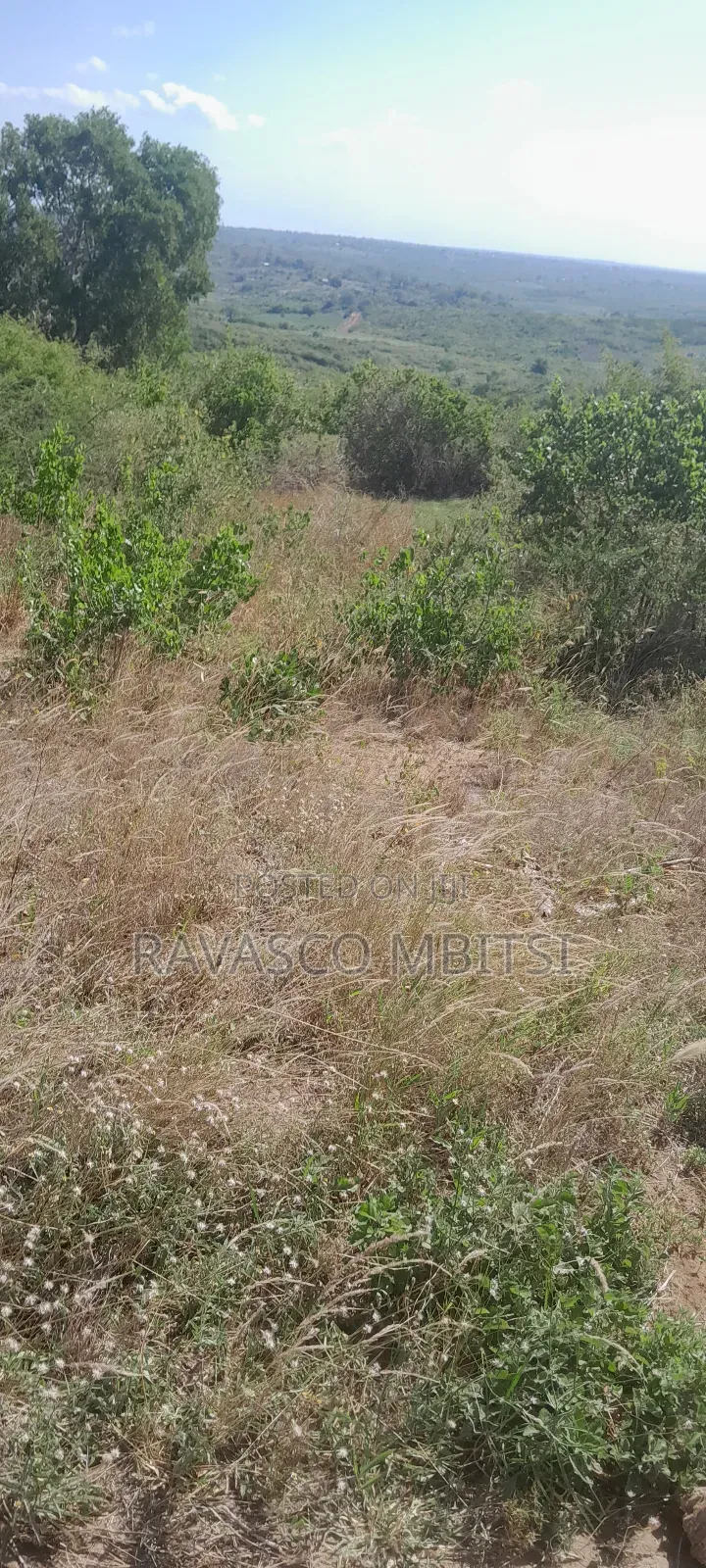 160 Acres Forsale in Matolani Baricho Good for Agricultural. in Malindi