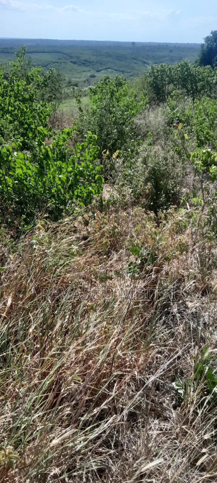 160 Acres Forsale in Matolani Baricho Good for Agricultural. in Malindi
