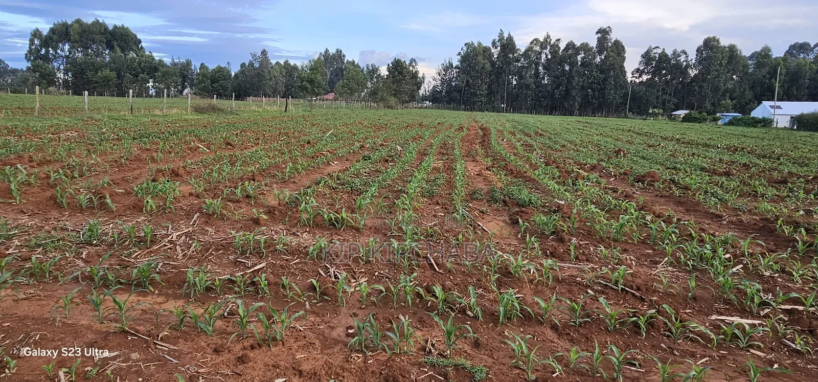 2 Acres for Sale in Say Eldoret in Soy