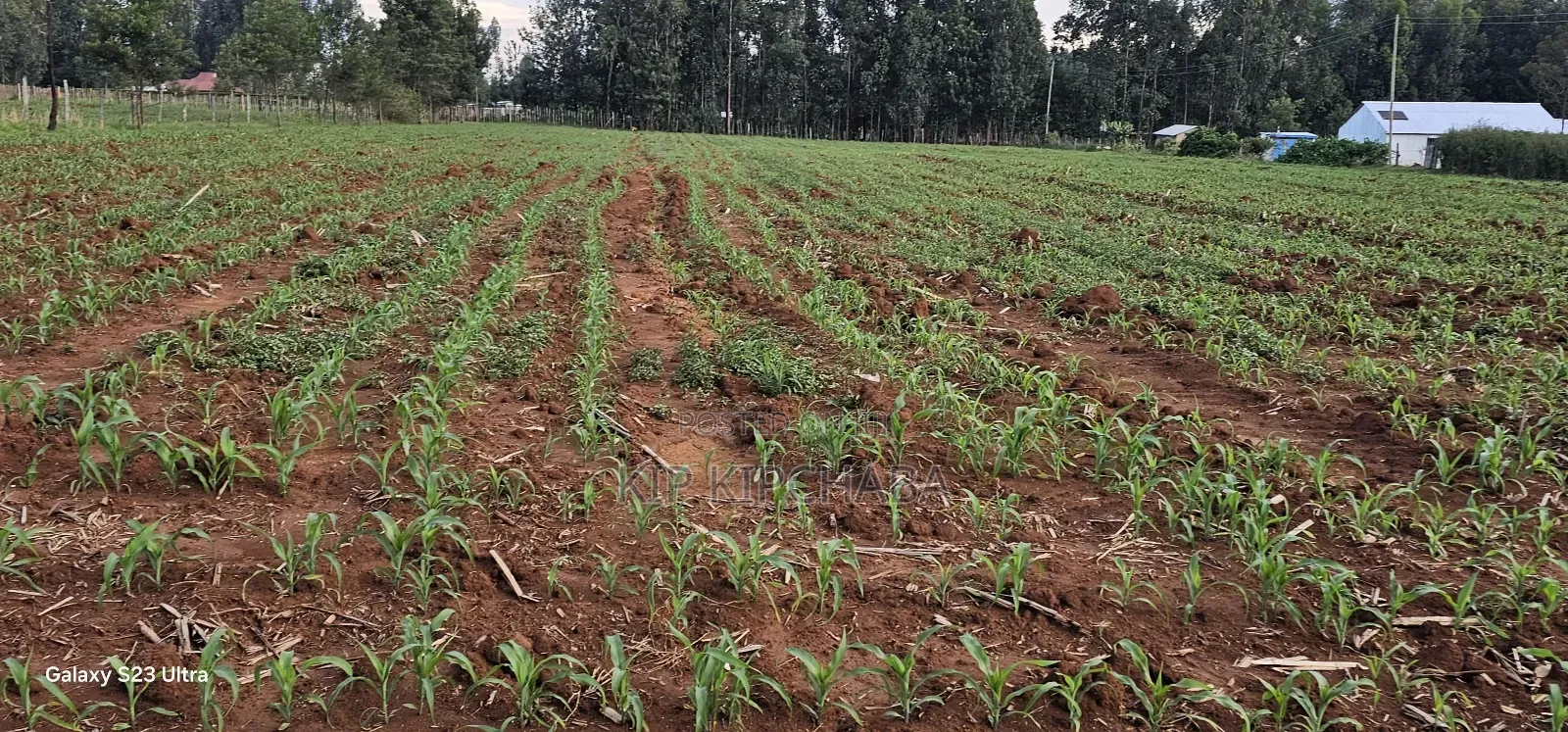 2 Acres for Sale in Say Eldoret in Soy
