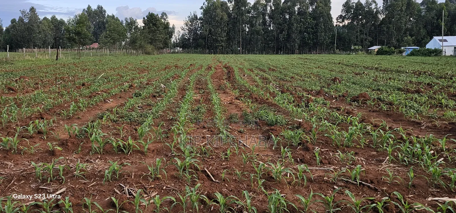 2 Acres for Sale in Say Eldoret in Soy