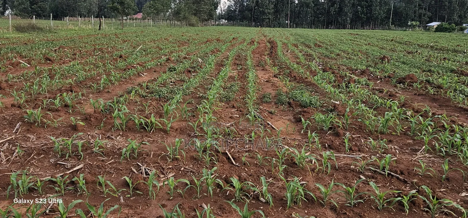 2 Acres for Sale in Say Eldoret in Soy