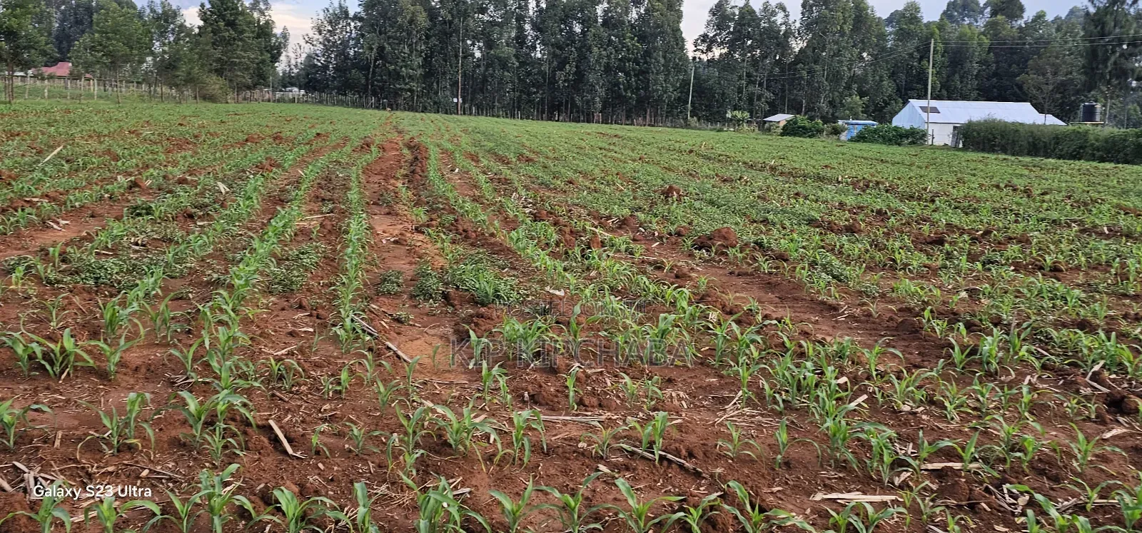 2 Acres for Sale in Say Eldoret in Soy