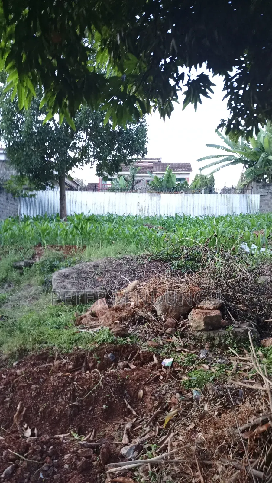 Prime Commercial Plot 1/4 Acre, Kiamumbi in Kiambu / Kiambu 