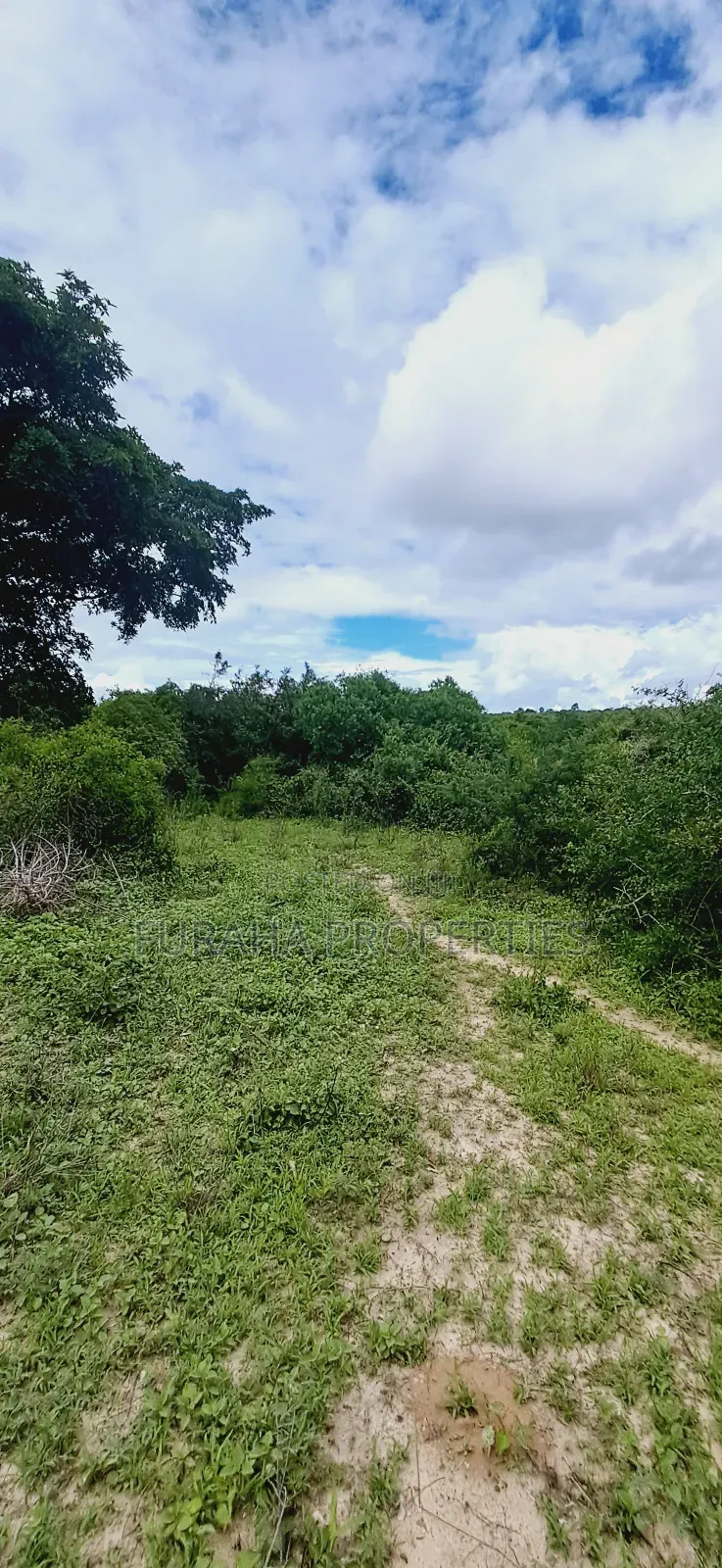 For Sale 18.5 Acres Land Marafa. in Marafa